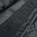 2025年11月7日秋冬新作Moncler女性ダウンジャケット超厳選★入手困難人気商品/LDF工場