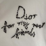 2025年11月11日秋冬新作Dior tシャツ超厳選★入手困難人気商品/LDF工場