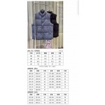 2025年11月17日秋冬新作Dior ダウンベスト高品質人気商品/QIU工場