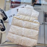 2025年11月21日入荷秋冬新作Diorファッション/誕生日プレゼント/贈り物 can工場