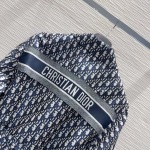 2025年11月21日入荷秋冬新作Diorファッション/誕生日プレゼント/贈り物 can工場