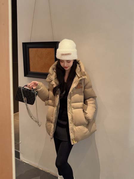 2025年11月22日入荷秋冬新作Celineダウンジャケッ...