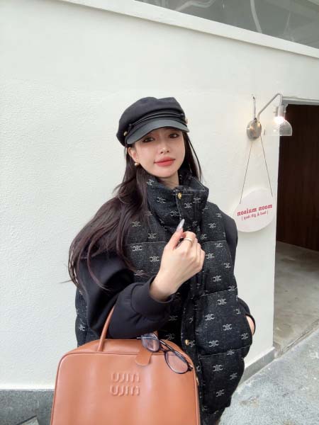 2025年11月23日入荷秋冬新作Celineダウンジャケッ...