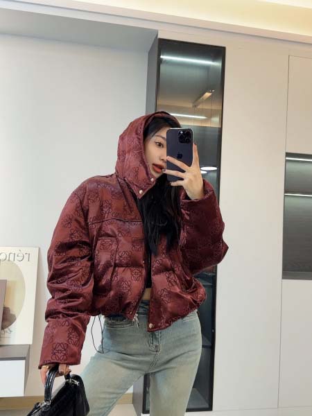 2025年11月23日入荷秋冬新作Loeweダウンジャケット...