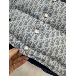 2025年11月23日入荷秋冬新作Diorダウンジャケットファッション/誕生日プレゼント/贈り物 can工場