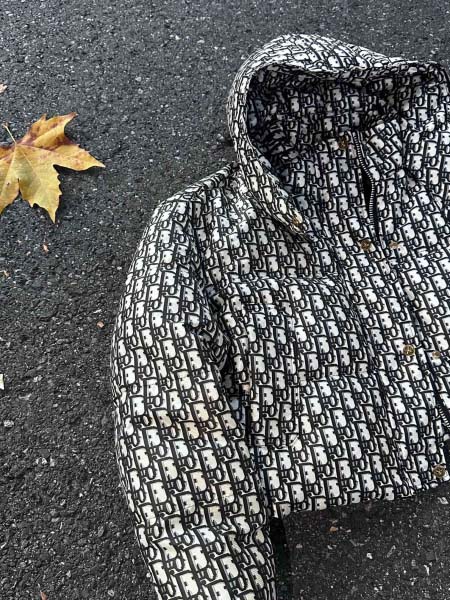 2025年11月23日入荷秋冬新作Dior ダウンジャケット...