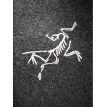 2025年11月24日入荷秋冬新作ARCTERYXジャケット高級なプレゼント/誕生日プレゼント/高品質/メンツ/記念品/ wenzhou工場