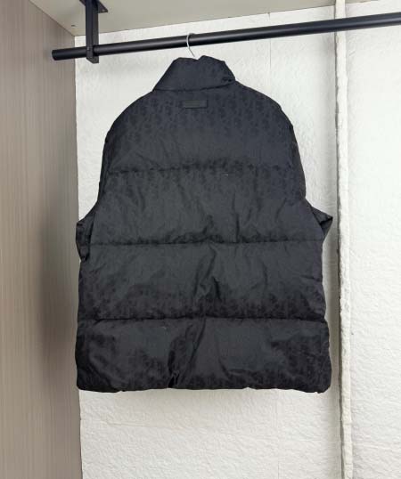 2025年12月1日秋冬新作Dior ダウンジャケット高品質人気商品/LDF工場