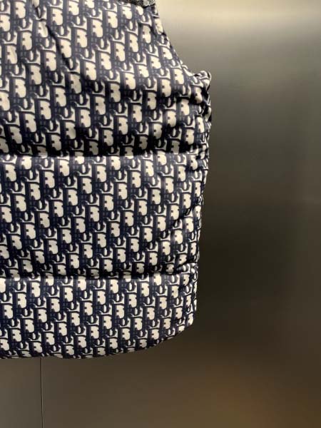 2025年12月5日秋冬新作Dior ダウンジャケット高品質人気商品/LDF工場