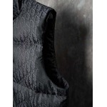 2025年12月1日秋冬新作DIORダウンベスト高品質人気商品/LDF工場