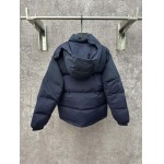 2025年12月1日秋冬新作Louis Vuittonダウンジャケット高品質人気商品/LDF工場