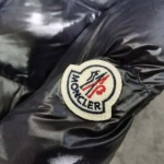 2025年12月3日秋冬新作Monclerダウンジャケット高品質人気商品/LDF工場
