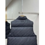 2025年12月4日秋冬新作DIORダウンベスト高品質人気商品/LDF工場