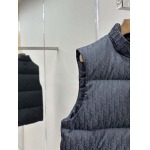 2025年12月4日秋冬新作DIORダウンベスト高品質人気商品/LDF工場
