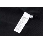 2025年12月4日秋冬新作LOEWE高品質人気商品/LDF工場