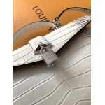 2025年12月9日入荷Louis Vuitton バッグN82033 N98925 N98928 N80432 N99017 N84714 N86012 Rose des Vents LV 27x11x19 高品質新作/誕生日プレゼント/