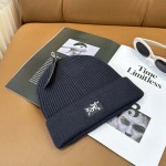 2025年12月11日入荷新品ARCTERYX帽子ギフト/誕生日/記念品/アクセサリーkaka工場