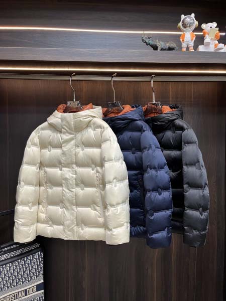 2025年12月16日入荷新作Zegnaダウンジャケット秋冬...