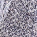 2025年12月30日新作Gucciシャツ 秋冬高級品/DM工場