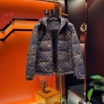 2026年1月2日新作Louis Vuittonダウンジャケット安い人気/TY工場