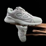 2026年1月10日入荷新品DIOR人気 スニーカー男女兼用/誕生日プレゼント/XH工場