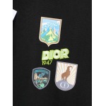 2026年1月16日新作Diortシャツ高品質人気商品/誕生日プレゼント/FF工場