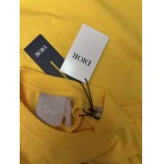 2026年1月23日新作Dior半袖 tシャツ高品質人気商品/誕生日プレゼント/FF工場
