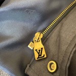 2026年1月23日新作Louis vuittonダウンジャケット高品質人気商品/誕生日プレゼント/FF工場