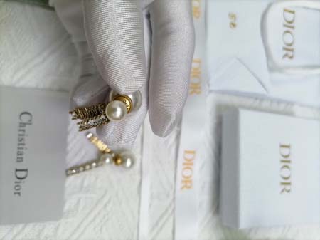 2026年2月5日入荷新品Diorピアスギフト/誕生日/記念品/アクセサリーxin工場