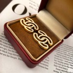 2026年2月2日入荷新品シャネルピアスギフト/誕生日/記念品/アクセサリーxin工場