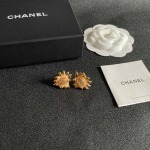 2026年2月2日入荷新品シャネルピアスギフト/誕生日/記念品/アクセサリーxin工場