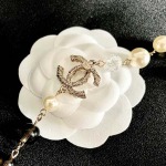 2026年2月2日入荷新品シャネルネックレスギフト/誕生日/記念品/アクセサリーxin工場