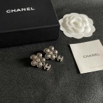 2026年2月3日入荷新品Chanelピアスギフト/誕生日/記念品/アクセサリーxin工場