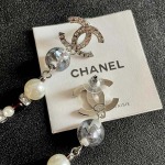 2026年2月3日入荷新品Chanelピアスギフト/誕生日/記念品/アクセサリーxin工場