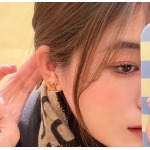 2026年2月3日入荷新品ルイヴィトンピアスギフト/誕生日/記念品/アクセサリーxin工場