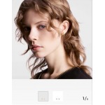 2026年2月3日入荷新品ルイヴィトンピアスギフト/誕生日/記念品/アクセサリーxin工場