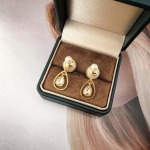 2026年2月5日入荷新品Diorピアスギフト/誕生日/記念品/アクセサリーxin工場