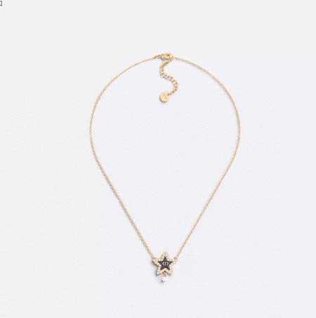 2026年2月5日入荷新品Diorネックレスギフト/誕生日/...