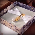2026年2月5日入荷新品Diorピアスギフト/誕生日/記念品/アクセサリーxin工場