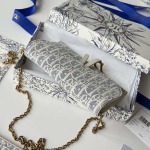 2026年2月19日新作高品質Diorバッグ /LYS工場