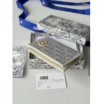 2026年2月19日新作高品質Diorパスポート /LYS工場