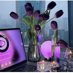 2026年2月26日入荷早春新作LOEWEセーターファッション/誕生日プレゼント/贈り物 can工場