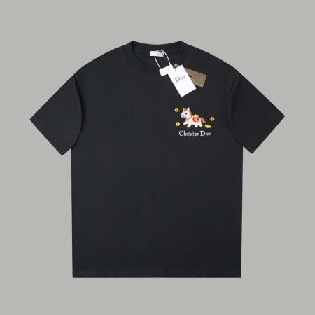 2026年3月17日新作Dior半袖 tシャツ人気商品/誕生...