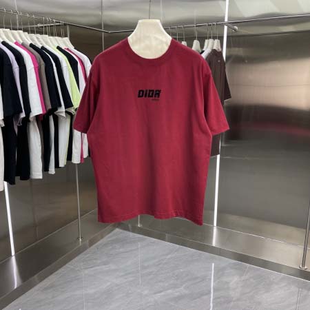 2026年3月17日新作Dior半袖 tシャツ人気商品/誕生...