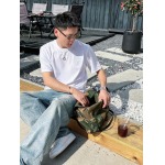 2026年3月28日入荷新作Louis Vuitton半袖Tシャツ春夏高品質超厳選★入手困難/LD工場