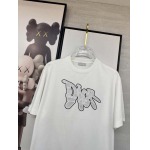 2026年3月30日入荷新作Dior半袖Tシャツ春夏高品質超厳選★入手困難/LD工場