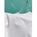 2026年3月30日入荷新作Dior半袖Tシャツ春夏高品質超厳選★入手困難/LD工場