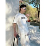 2026年3月30日入荷新作Dior半袖Tシャツ春夏高品質超厳選★入手困難/LD工場