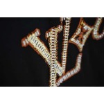 2026年4月16日新作Louis Vuitton半袖 tシャツ高品質/誕生日プレゼント/FF工場S-XL