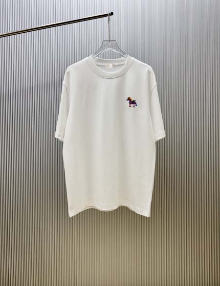 2026年4月17日新作Dior半袖 tシャツ高品質/誕生日...